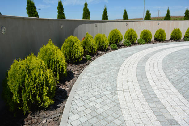 Best Professional Driveway Pavers  in Briar, TX