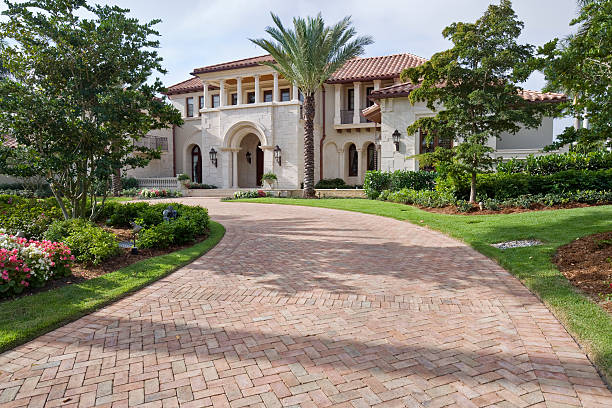 Best Professional Driveway Pavers  in Briar, TX